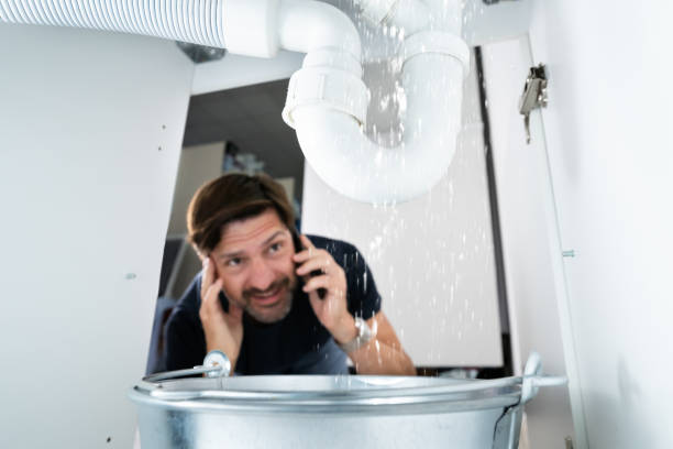 Best Pipe Repair Near Me  in Agler Estates, FL